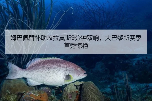 姆巴佩替补助攻拉莫斯9分钟双响，大巴黎新赛季首秀惊艳