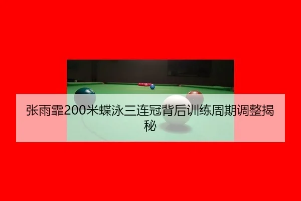zhang-yu-fei-mi-die-yong-san-lian-guan-bei-hou-xun-lian-zhou-qi-tiao-zheng-jie-mi-2-297.jpg
