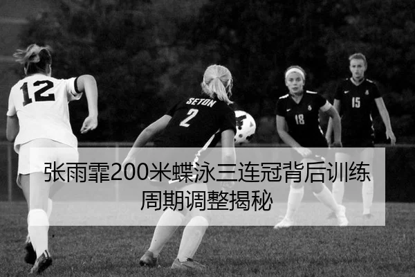 zhang-yu-fei-mi-die-yong-san-lian-guan-bei-hou-xun-lian-zhou-qi-tiao-zheng-jie-mi-3-271.jpg
