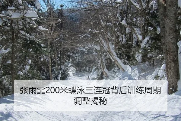 张雨霏200米蝶泳三连冠背后训练周期调整揭秘