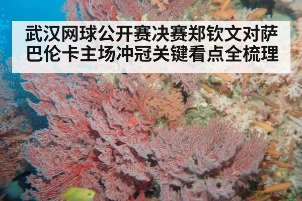 武汉网球公开赛决赛郑钦文对萨巴伦卡主场冲冠关键看点全梳理